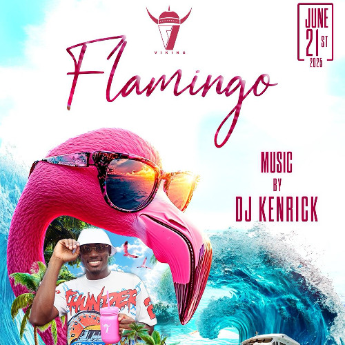 FLAMINGO BOAT RIDE PROMO CD MIXED DJ KENRICK