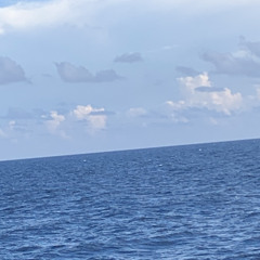 suisei - no options (cover)