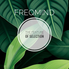 Freqmind - The Feature of Selection (Original Mix)