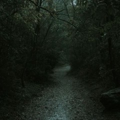 im still learning 9tails cover (prod.killedmyself)