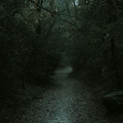 im still learning 9tails cover (prod.killedmyself)