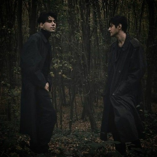 Rauf & Faik - Animal