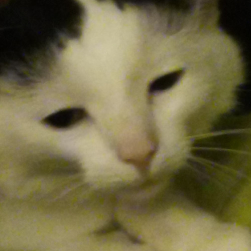 Trance till you're dead - Studio Set