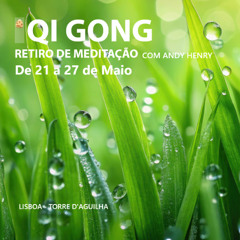 Qi GONG Meditation Retreat 2025 - Final remarks  Andy Henry