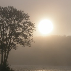 Xxxmanera - Elon Musk