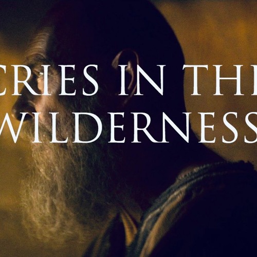 CRIES IN THE WILDERNESS