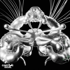 Rafael Cerato, MORGANJ - Slow Down [Captive Soul]