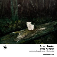 disco hospital #4 @rough-radio