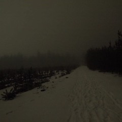 I SHOULD HAVE NEVER OPENED UP TO YOU