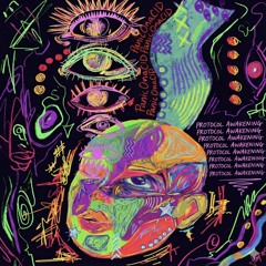 Protocol Awakening - PanicOnACID [190]