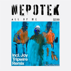 PREMIERE: Nepotek - Anything (Jay Tripwire 2023 Rework) [Plus Future Records]