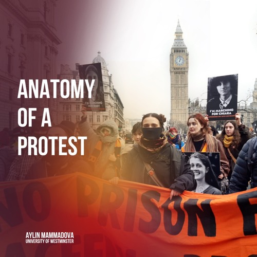 Anatomy Of A Protest