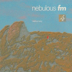 nebulous fm 004