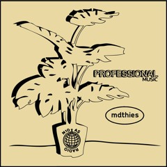 Professional Music 13 // mdthies