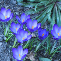 Scar you carve ft. Frankzozky | prod. Frvr