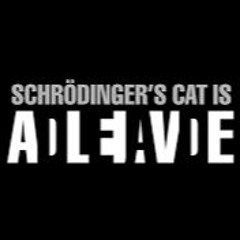 Schrödingers Bobb