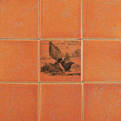 Anish Kumar - Sunday Sessions | 8 | 01.03.2026