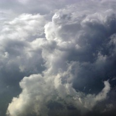 Young L feat. Scotty Pimpin - Dreams