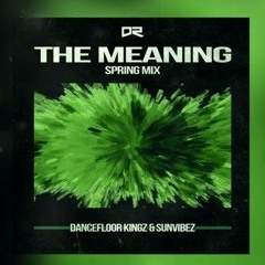 Dancefloor Kingz & Sunvibez - The Meaning (Spring Edit)