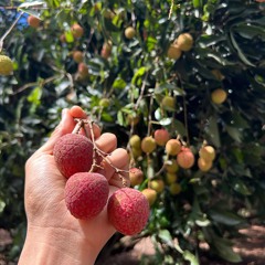 My God, My Portion, and My All