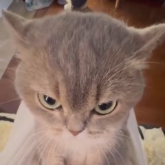 OG気取りもplayも全員しね