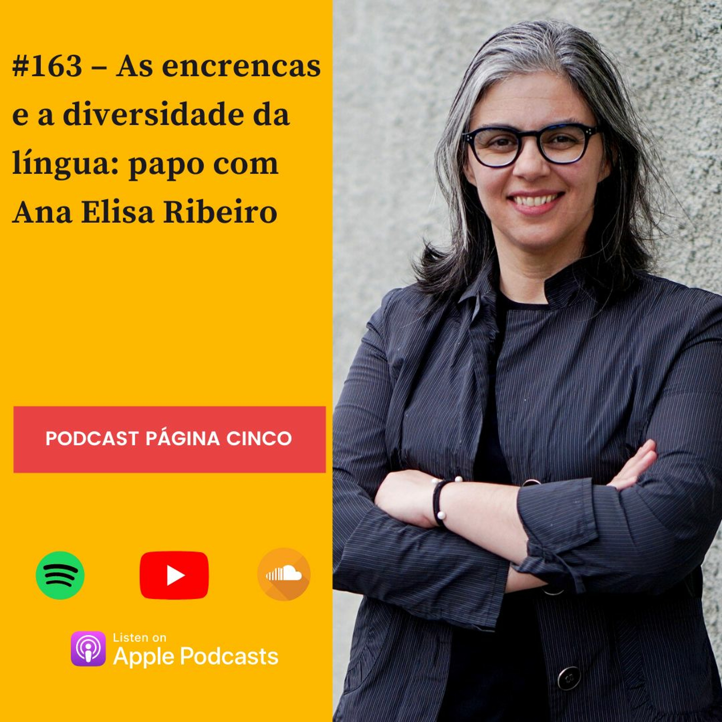 #163 – As encrencas e a diversidade da língua: papo com Ana Elisa Ribeiro