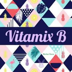 VitamixB