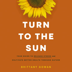 TURN TO THE SUN by Brittany Gowan | Chapter One