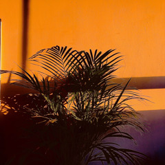 How Lucky (John Prine cover)