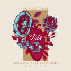 Goo Goo Dolls - Iris (Luke Borchardt & John Failly & Rmx)