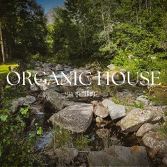 Jade - Organic House Mix November