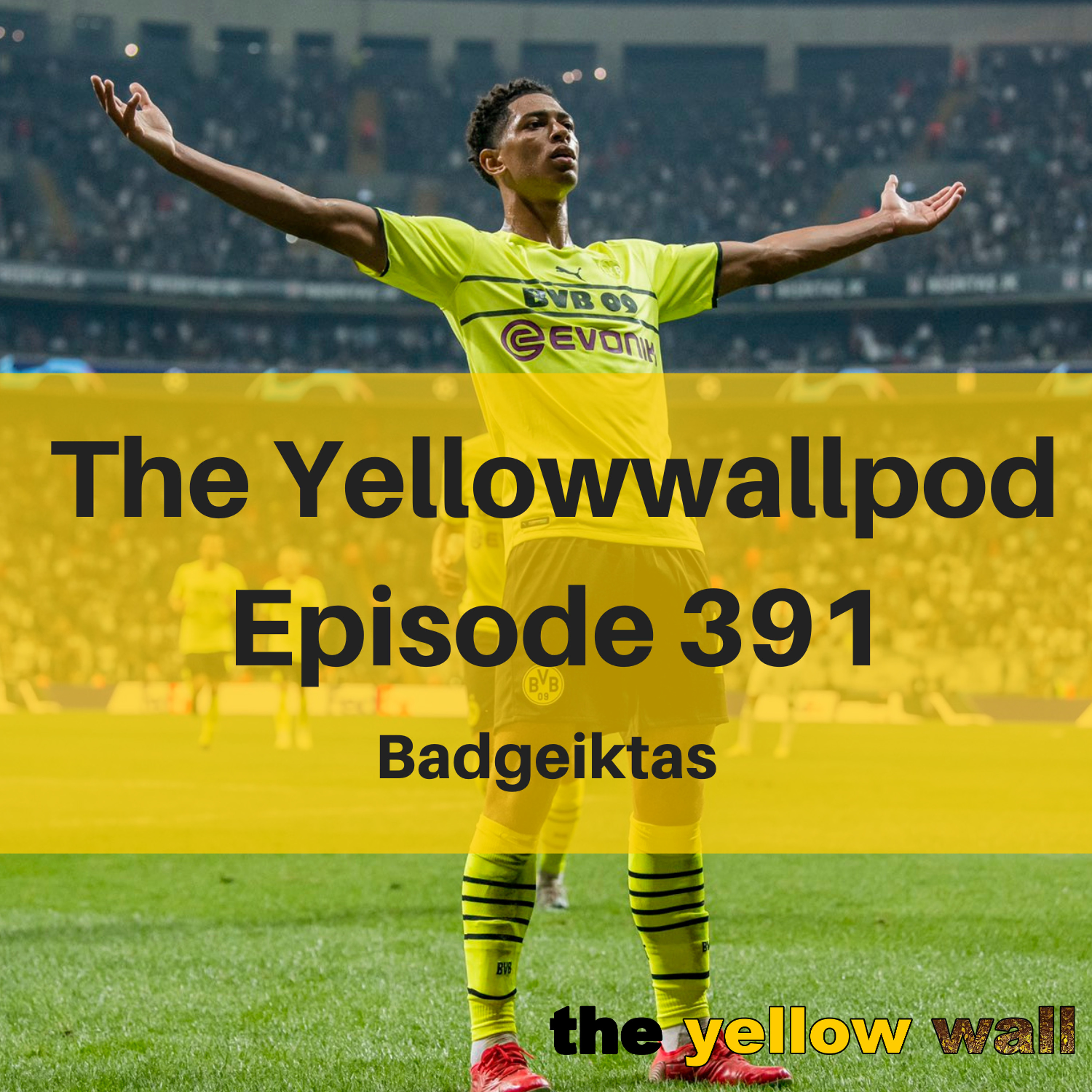 Yellowwallpod