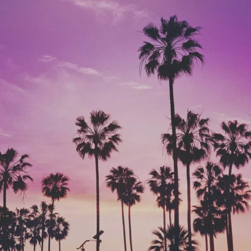 Ahol dream background music 👽 FREE DOWNLOAD