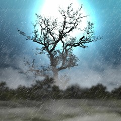 La Lluvia Ácida Y El Ojo De La Noche Sin Solo (5 50)