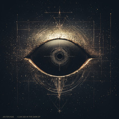 I Can See In The Dark (original)