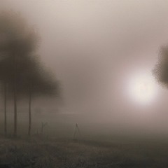 Mistly Morning