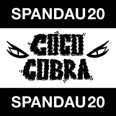 SPND20 Mixtape by Coco Cobra