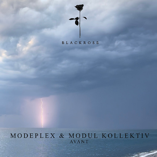Modeplex & Modul Kollektiv - From Sanity  (Original Mix)