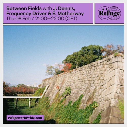 Between Fields - J. Dennis, Frequency Driver & É. Motherway - 08 Feb 2024