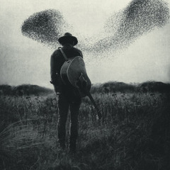 Rainfall