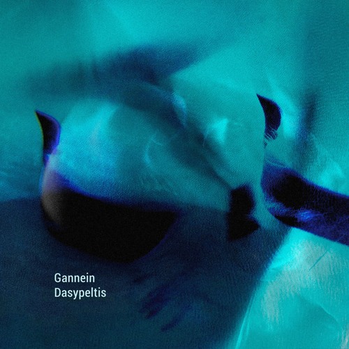 Gannein - Dasypeltis [FREE DL]