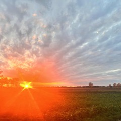 Sunny day by MaxxxL. the MadHatter.m4a