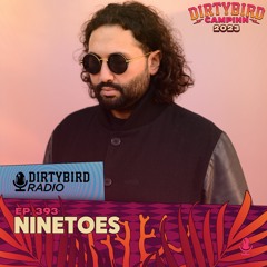 Dirtybird Radio 393 - Ninetoes