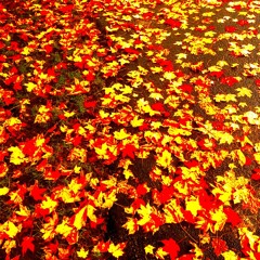 rounding up [prod. Splurcetti]