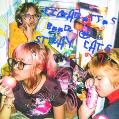 Cigarettes, Beer, & Stray Cats