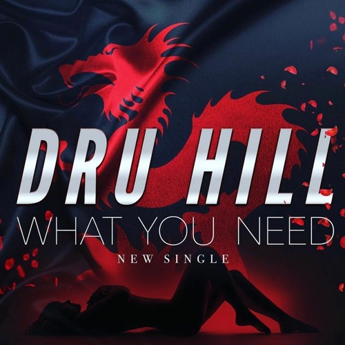 What You Need (Snippet) by @DruHill4Real