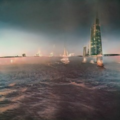 Searching For Things Growing In The Water