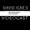 This Is How They Pulled Off The Biggest Hoax In History - David Icke