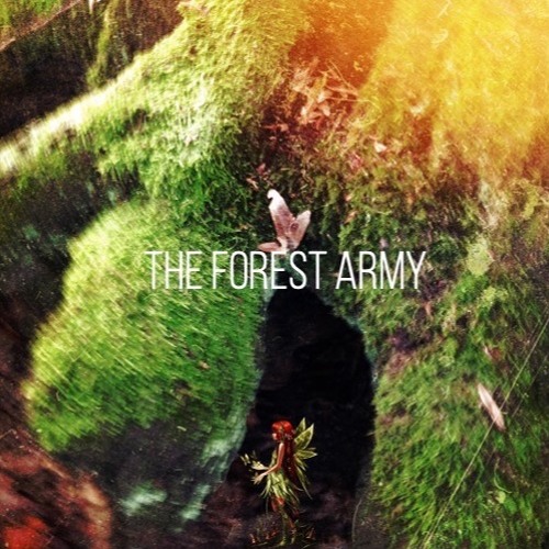 The Hidden People Of The Forest