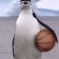 MAN INNIS BIH